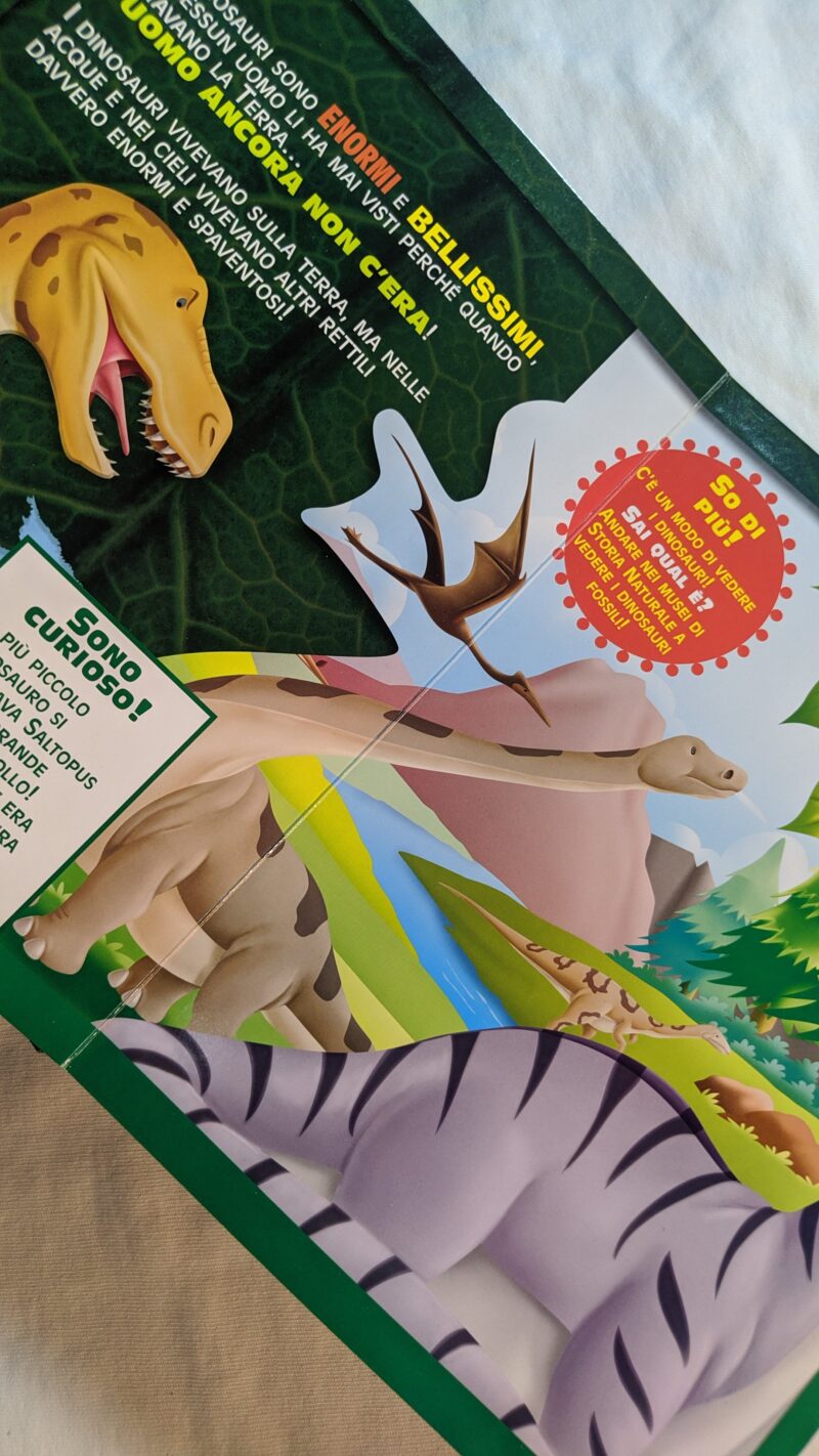 Il mio grande libro dei Dinosauri