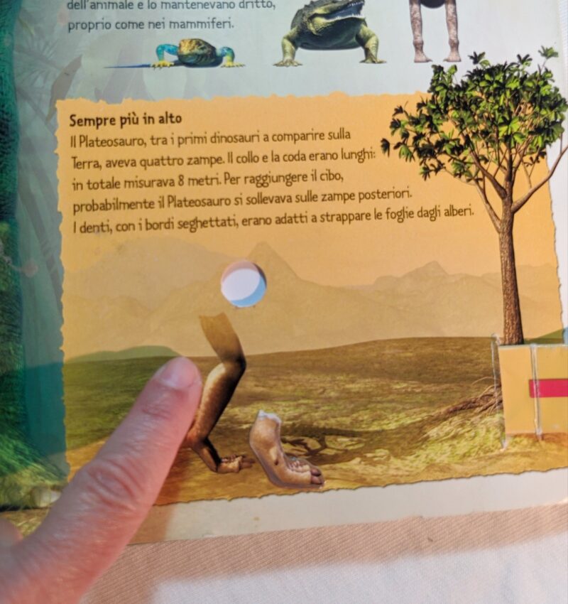 Dinosauri Pop-Up