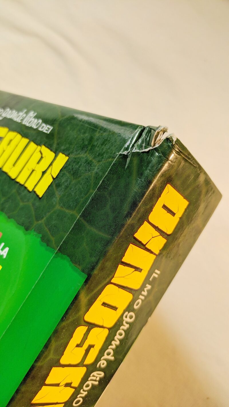 Il mio grande libro dei Dinosauri