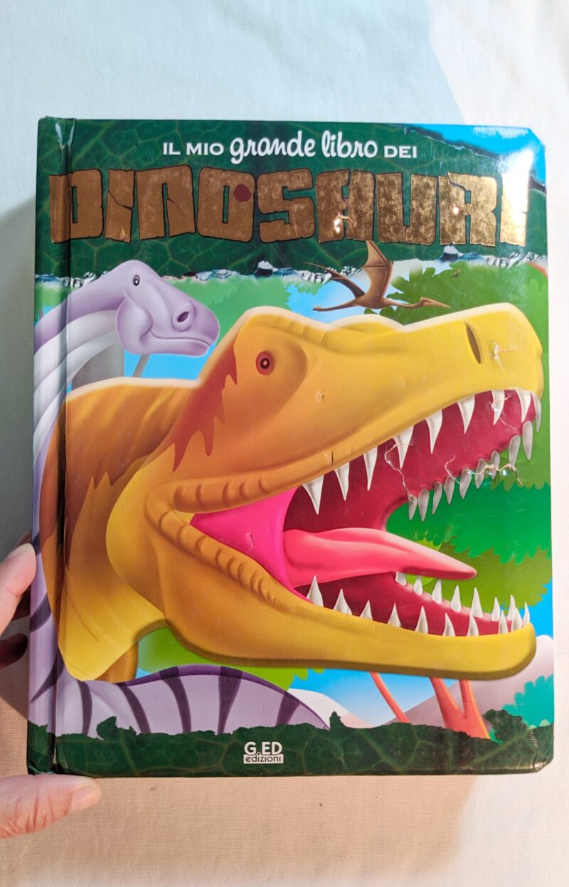Il mio grande libro dei Dinosauri