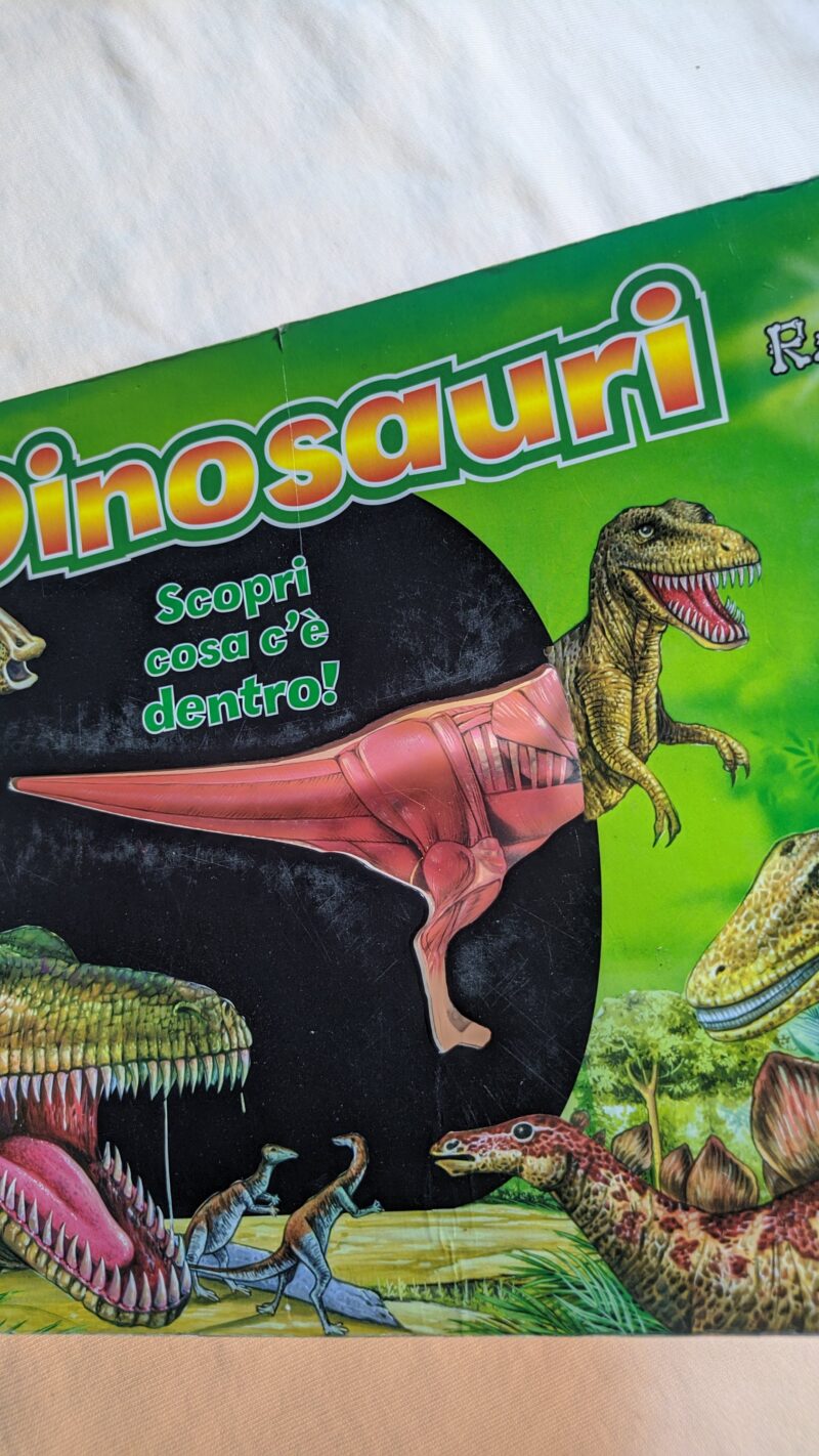 Dinosauri ai raggi X
Scopri cosa c'è dentro!