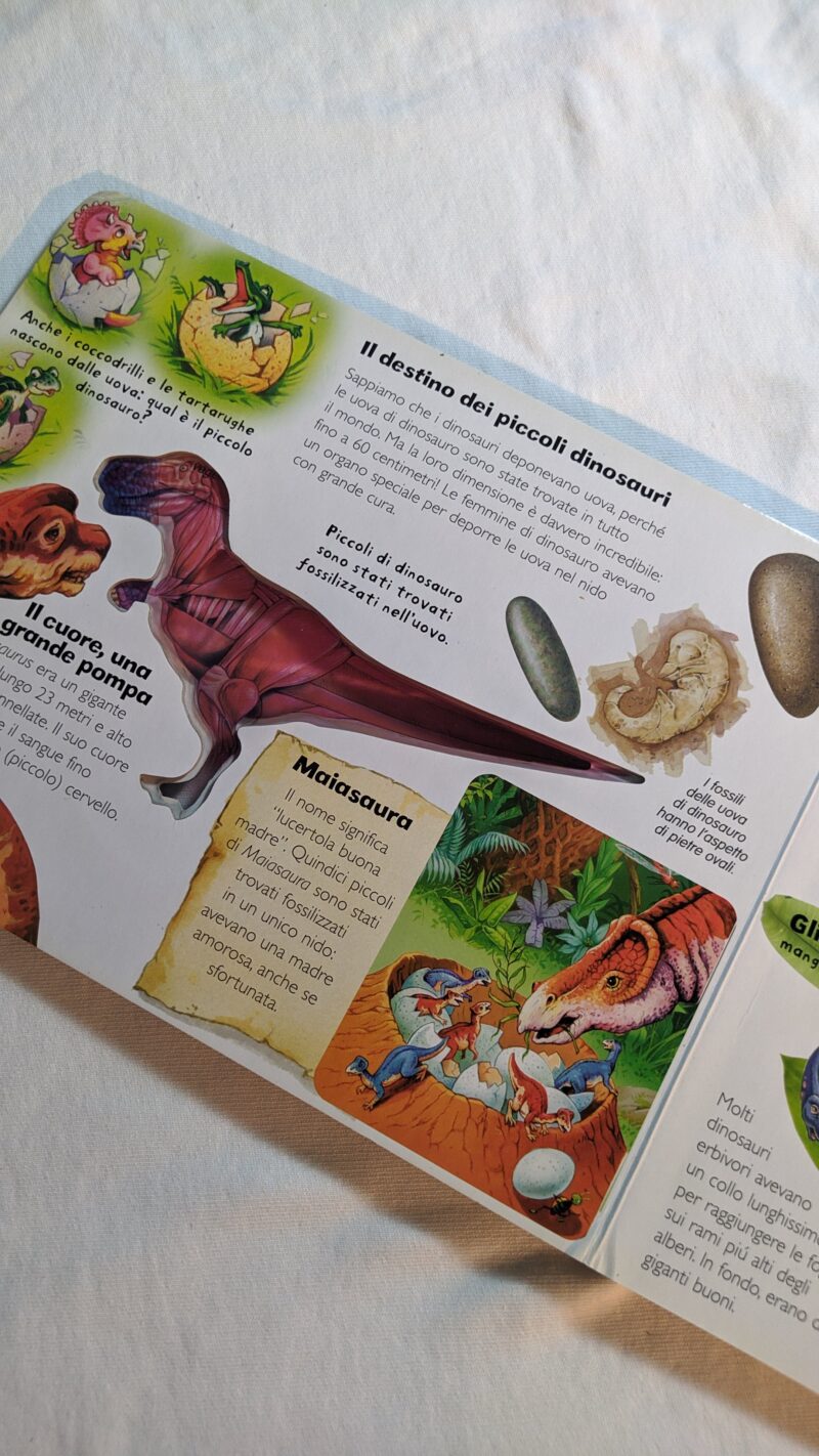 Dinosauri ai raggi X
Scopri cosa c'è dentro!