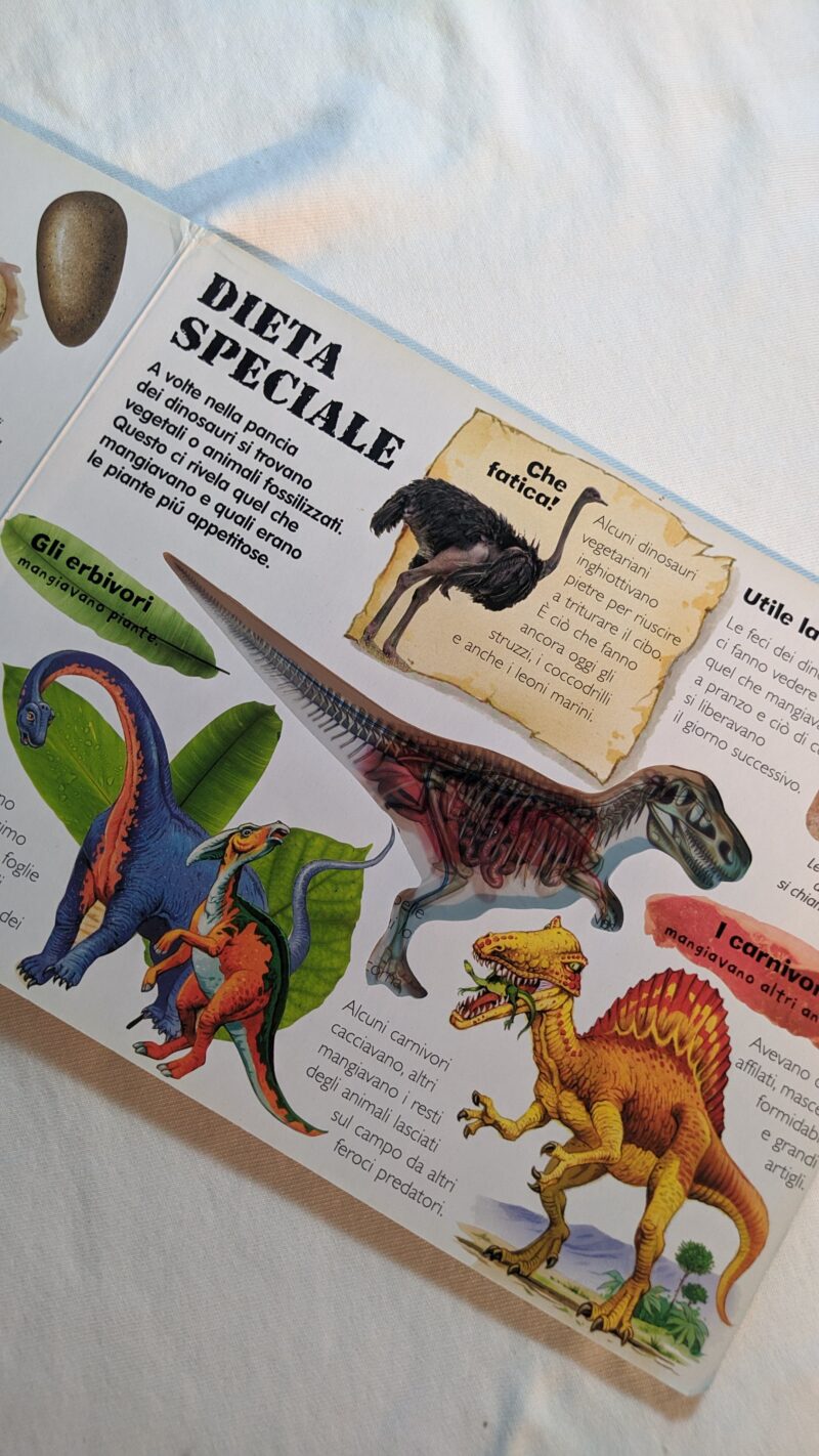 Dinosauri ai raggi X
Scopri cosa c'è dentro!