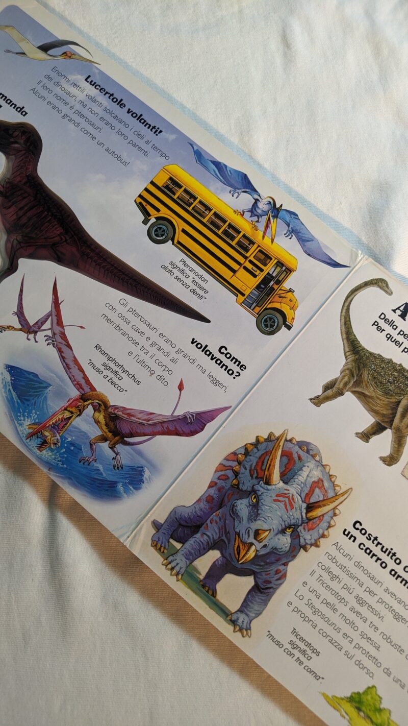 Dinosauri ai raggi X
Scopri cosa c'è dentro!