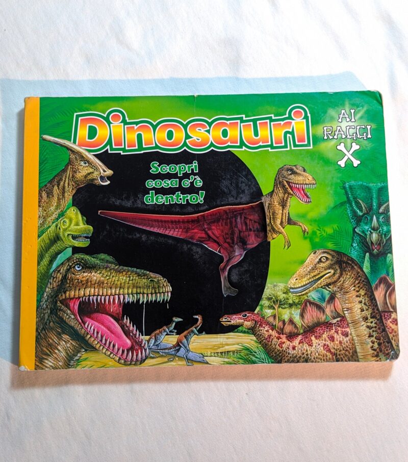 Dinosauri ai raggi X
Scopri cosa c'è dentro!