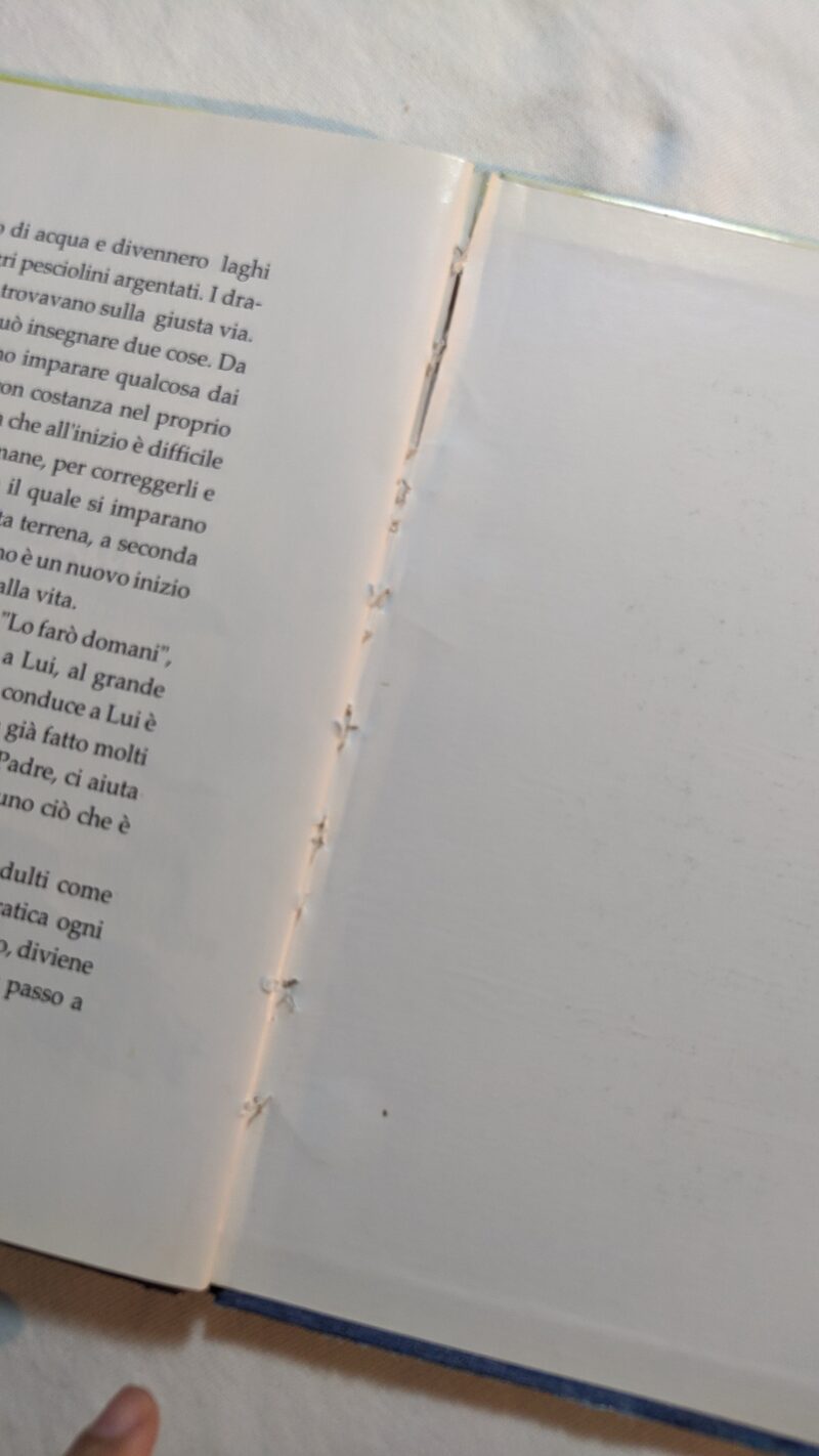 Il draghetto Saurì