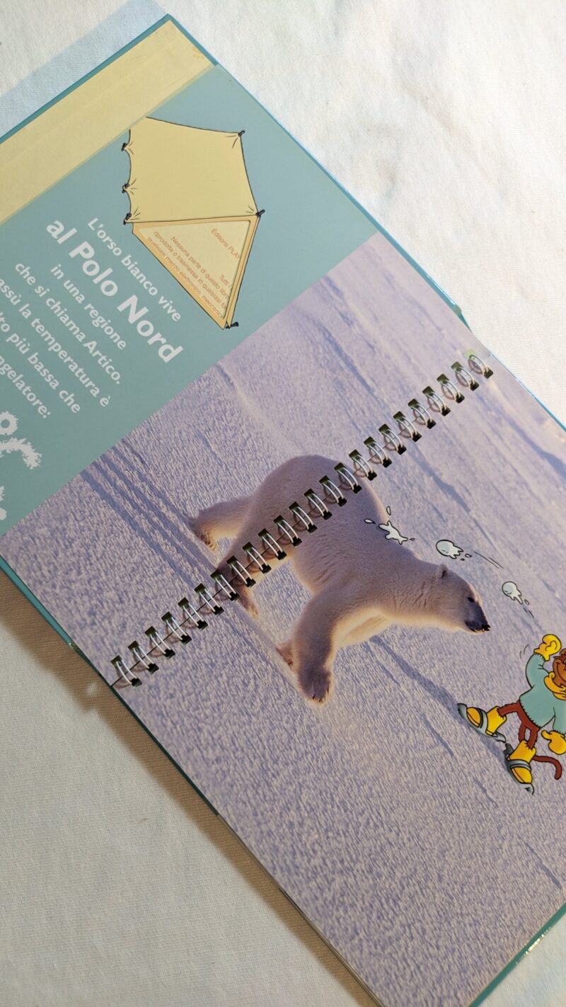 Tattam e l'orso bianco