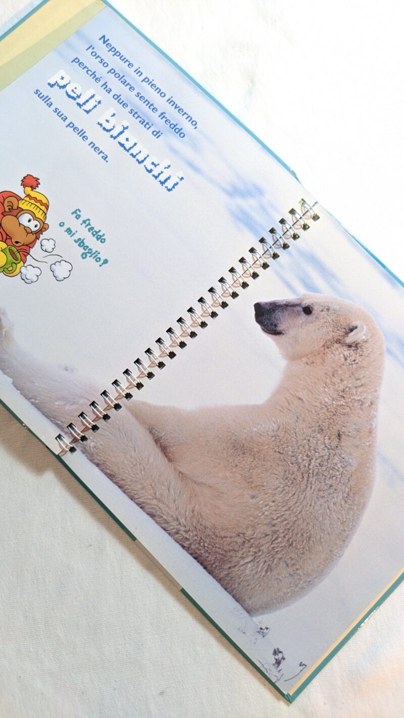 Tattam e l'orso bianco