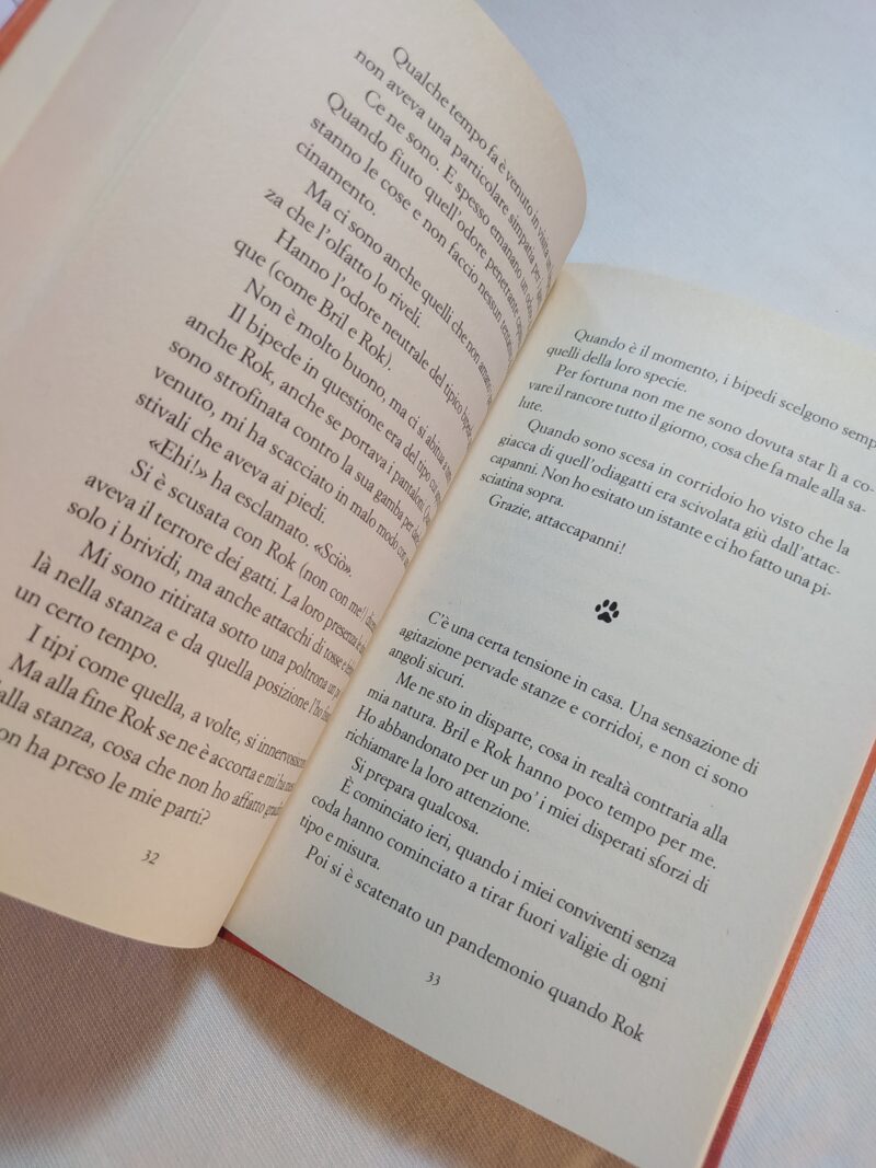 Diario di un Gatto