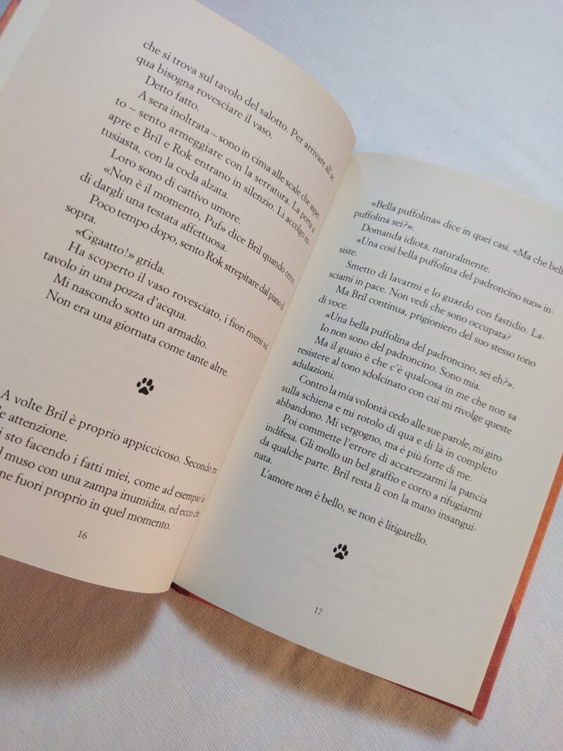 Diario di un Gatto