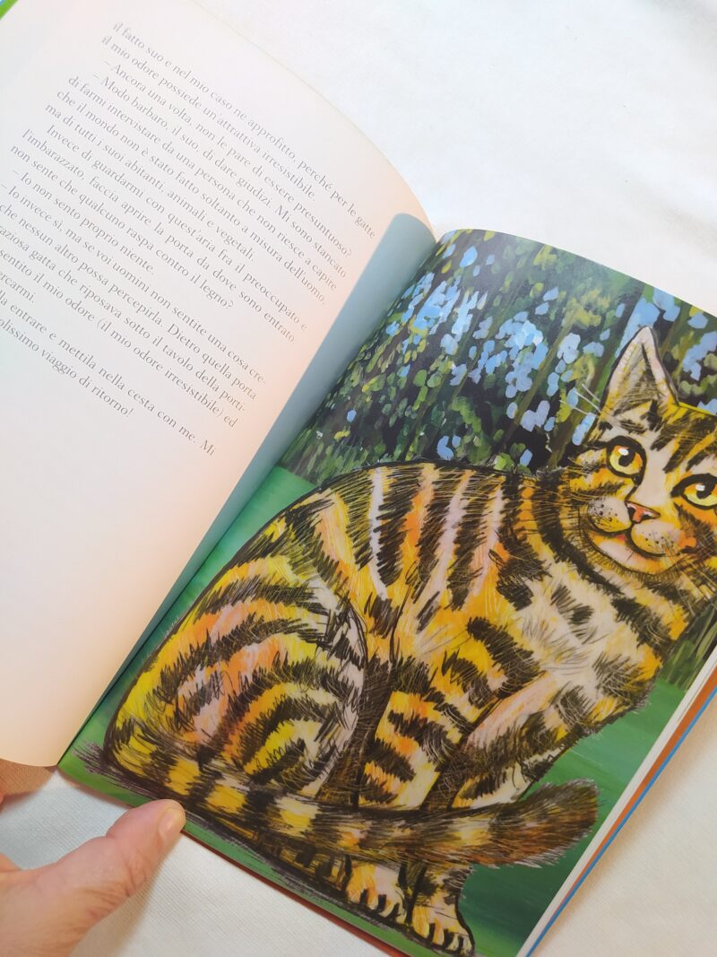 Quattro storie quasi vere