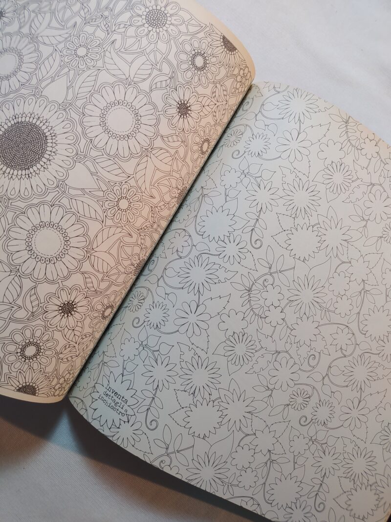 Il giardino segreto (libro da colorare)