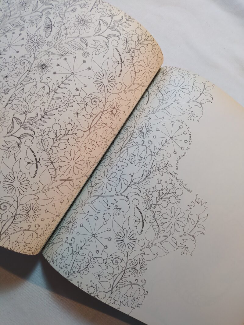Il giardino segreto (libro da colorare)