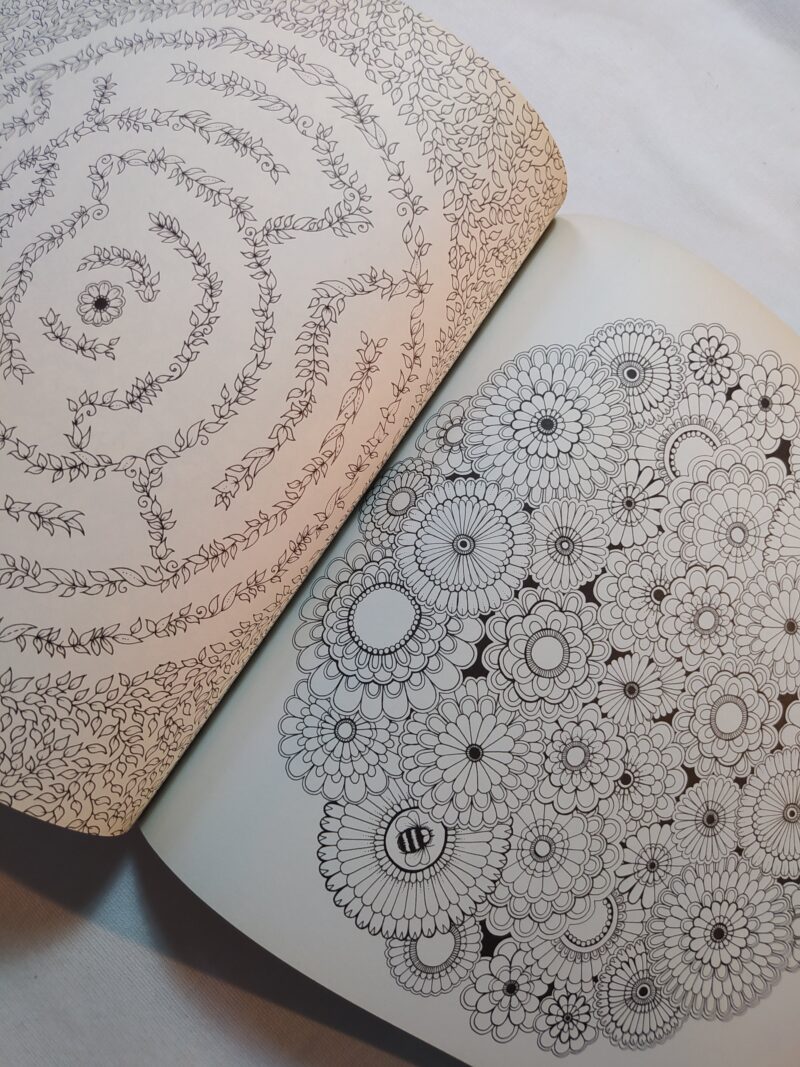 Il giardino segreto (libro da colorare)
