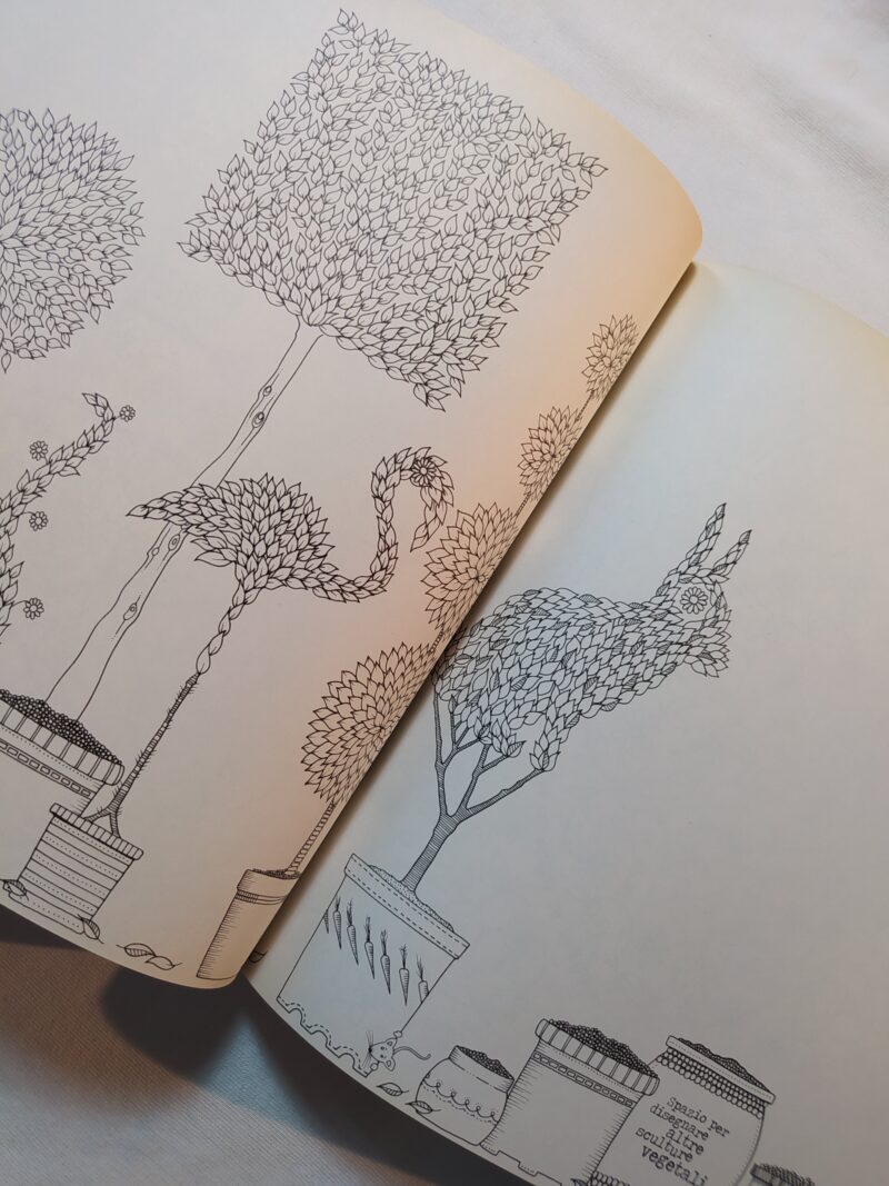Il giardino segreto (libro da colorare)