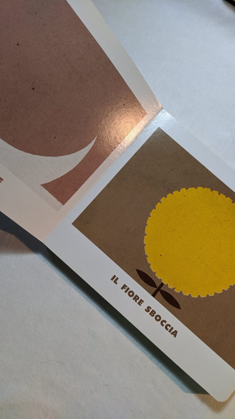 Quando il sole si sveglia