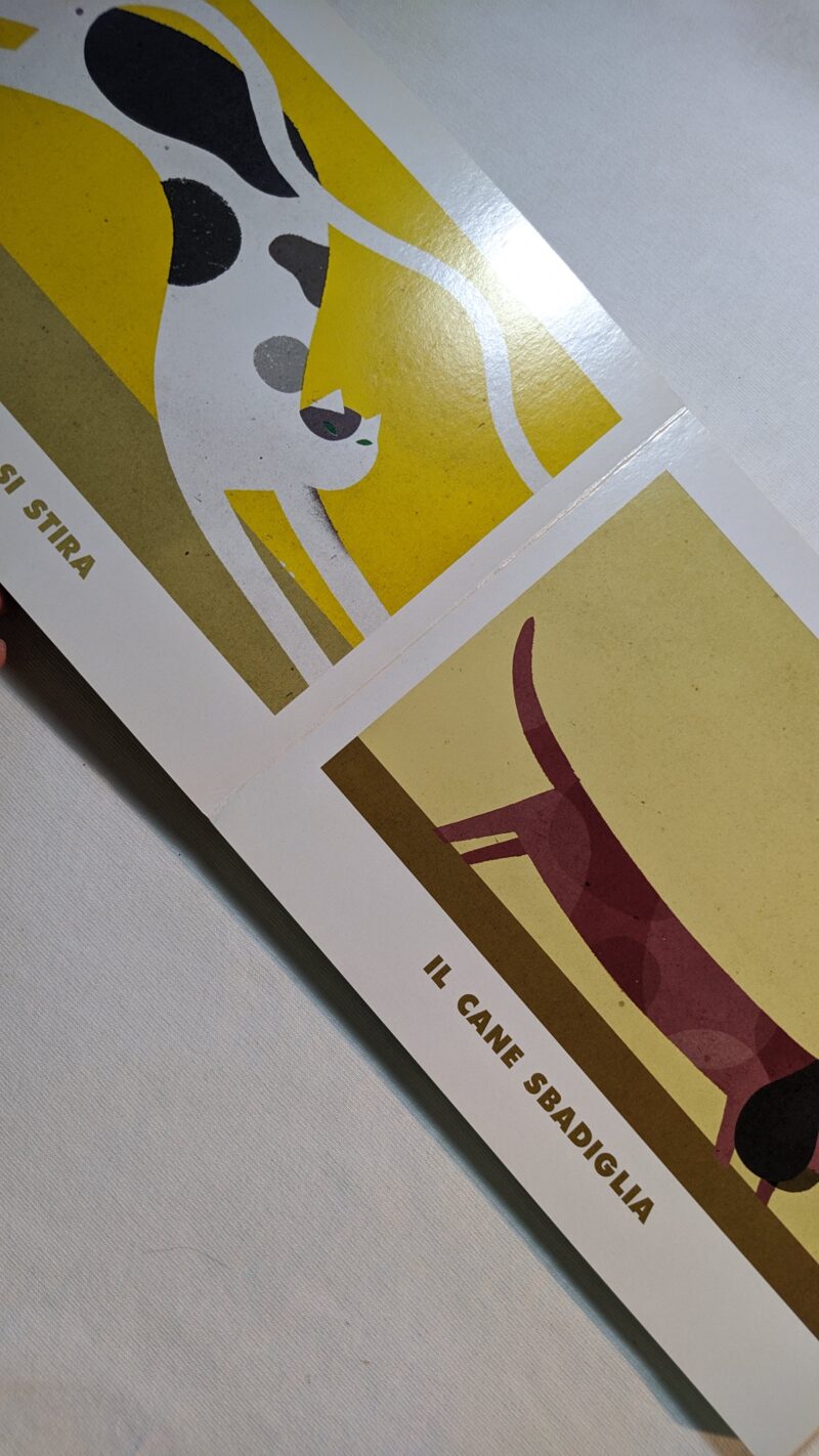 Quando il sole si sveglia