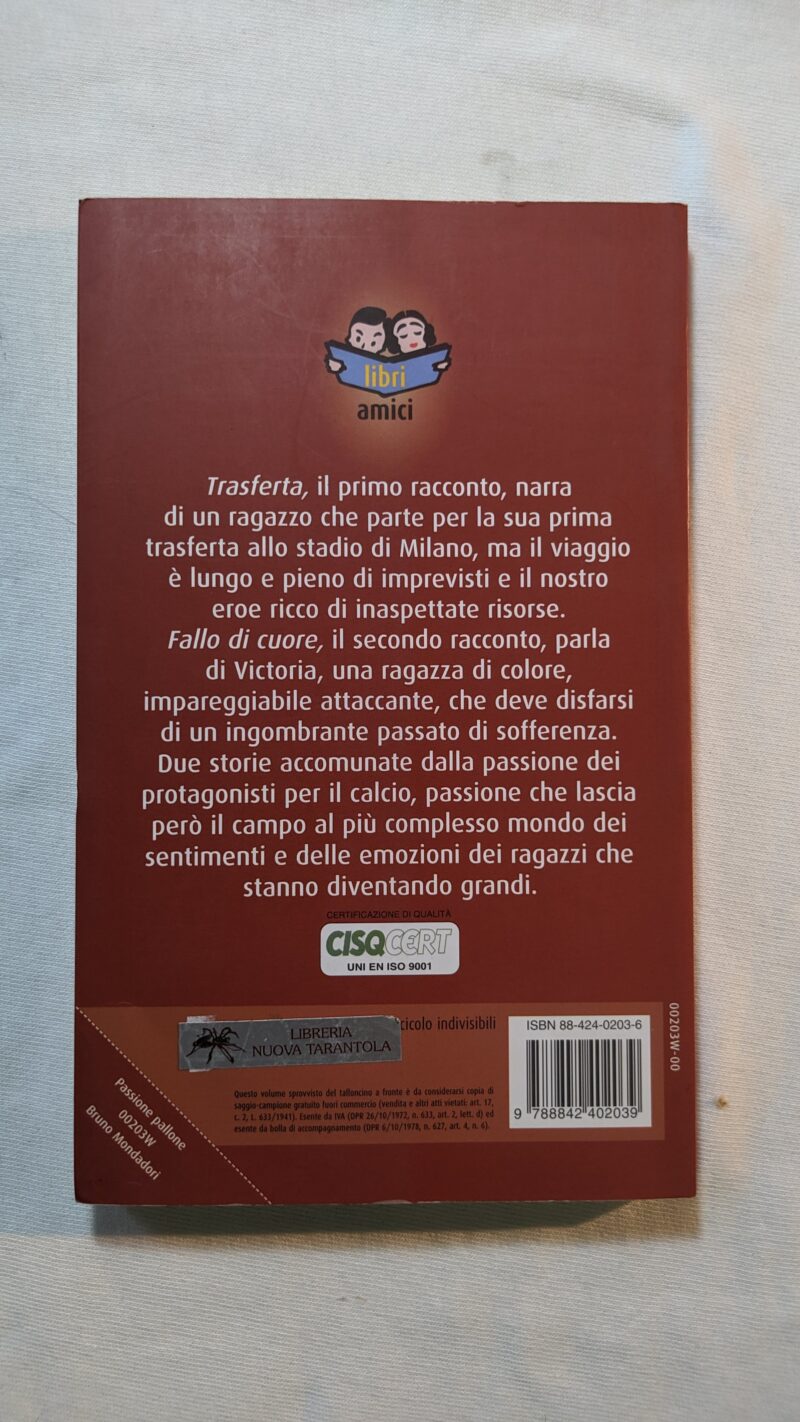 Passione pallone