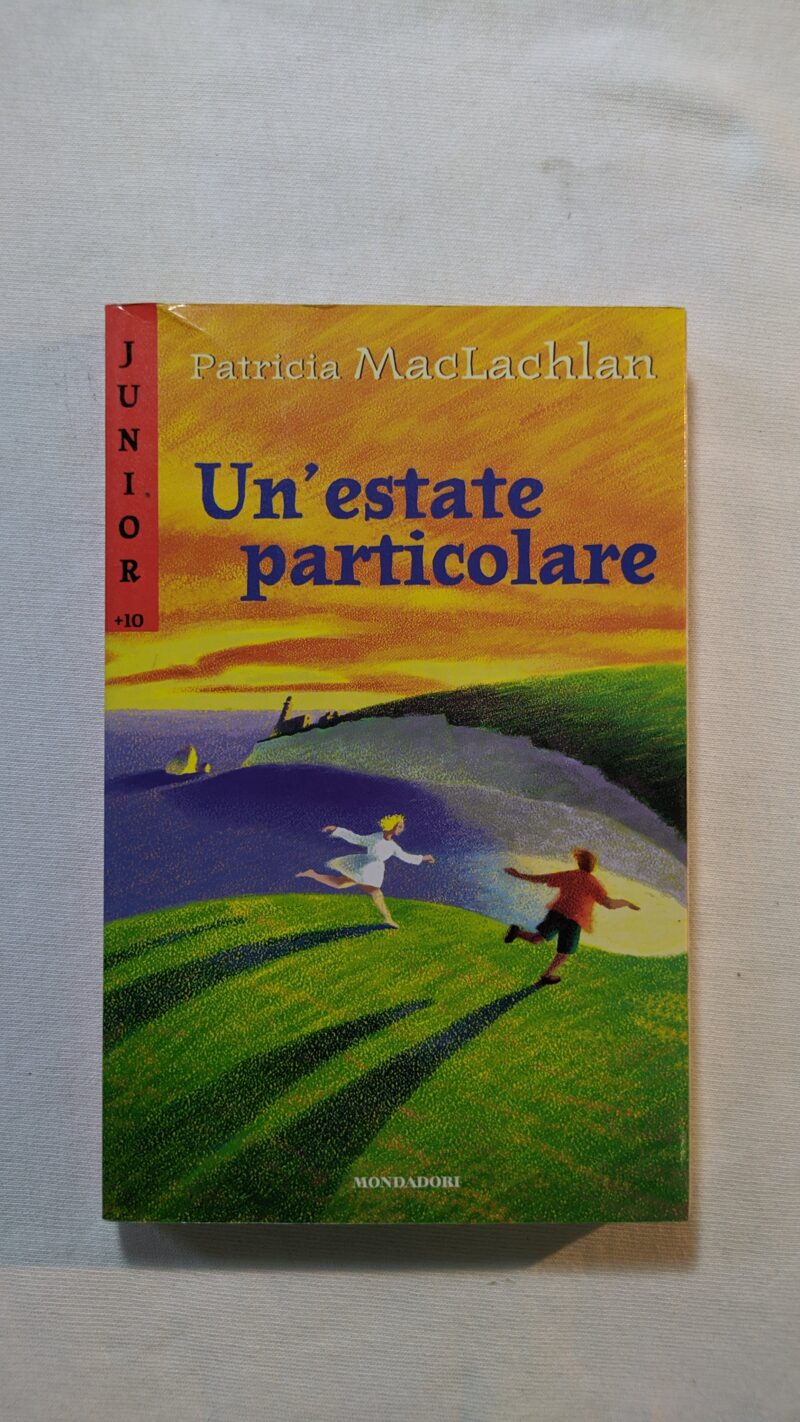 Un'estate particolare