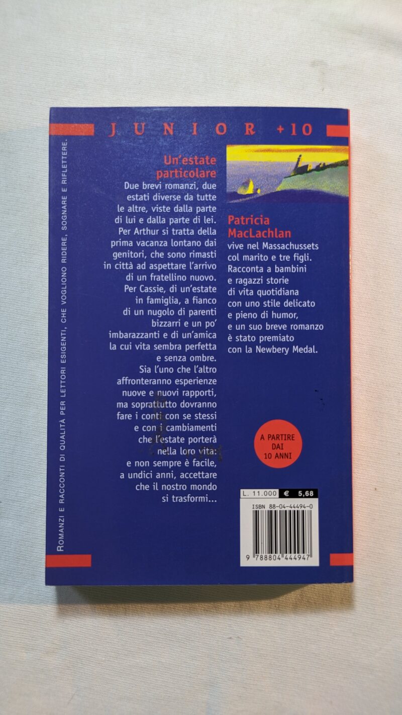 Un'estate particolare