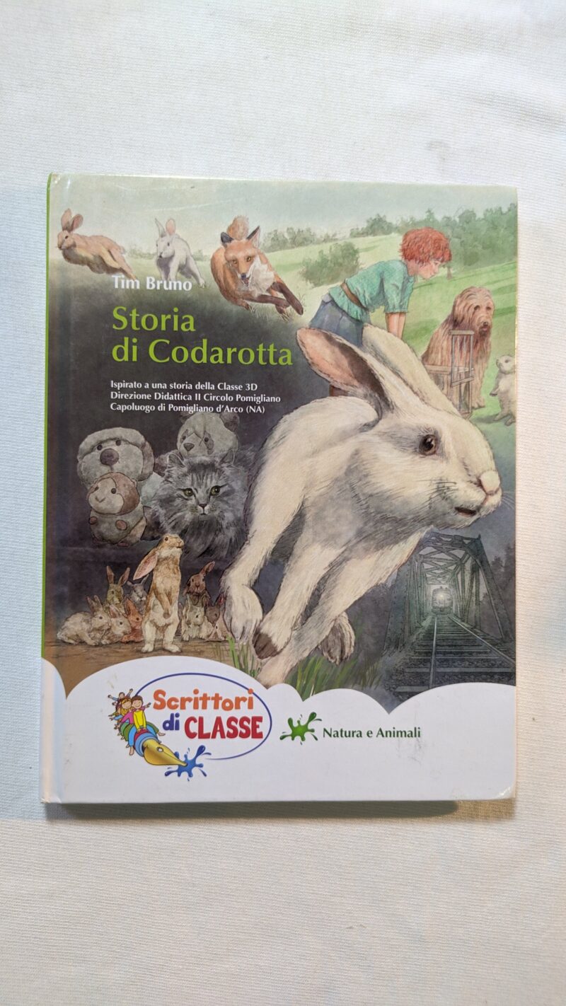 Storia di Codarotta