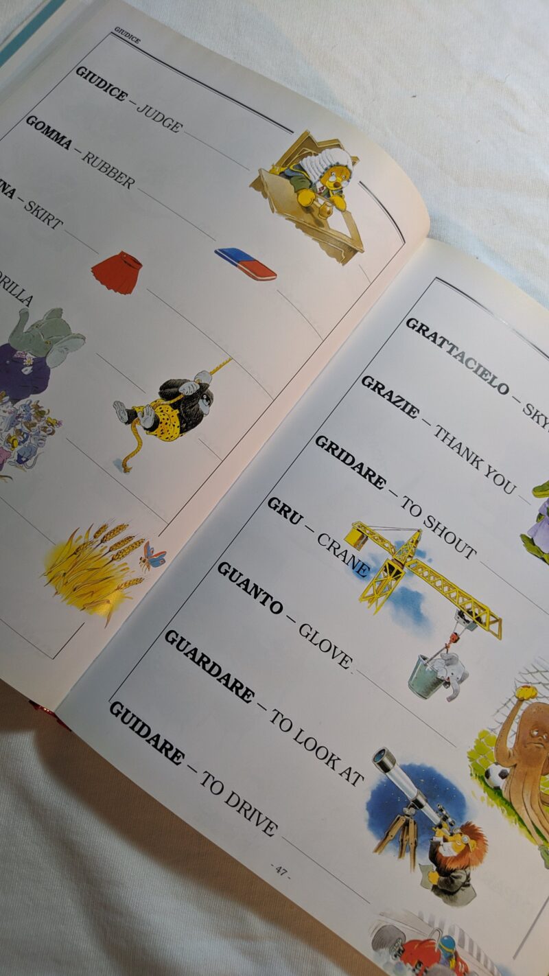 Vocabolario Illustrato di inglese