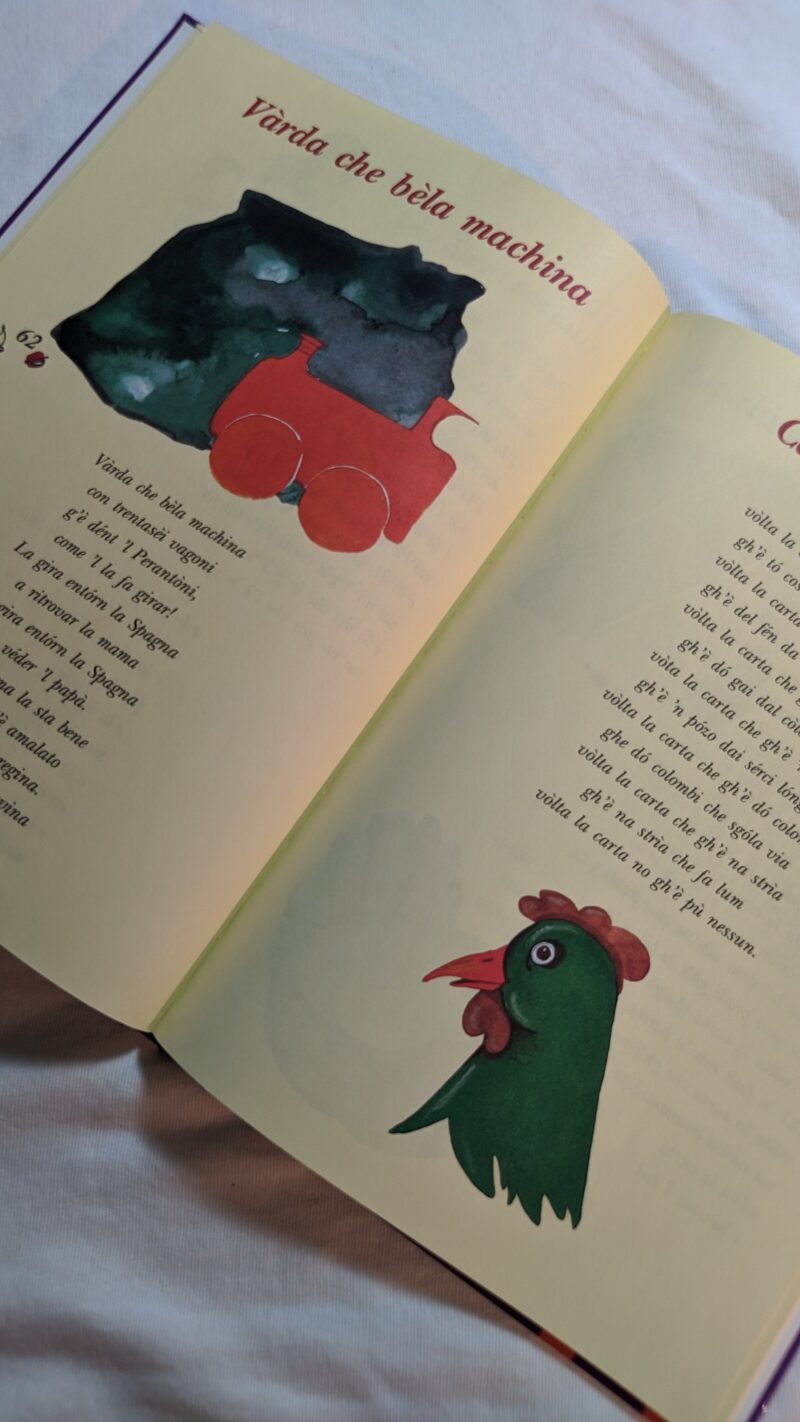 Il libro delle filastrocche di Trento per i più piccoli