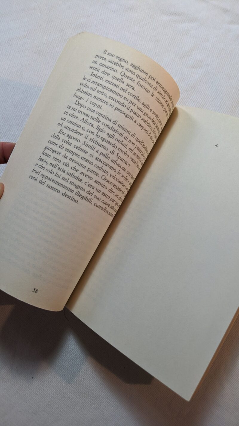 La testa fra le nuvole