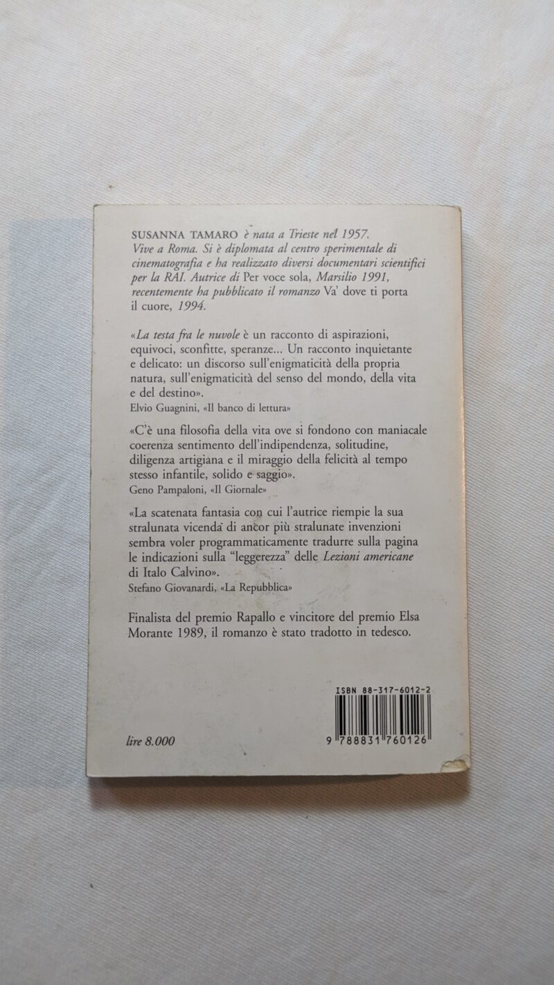 La testa fra le nuvole