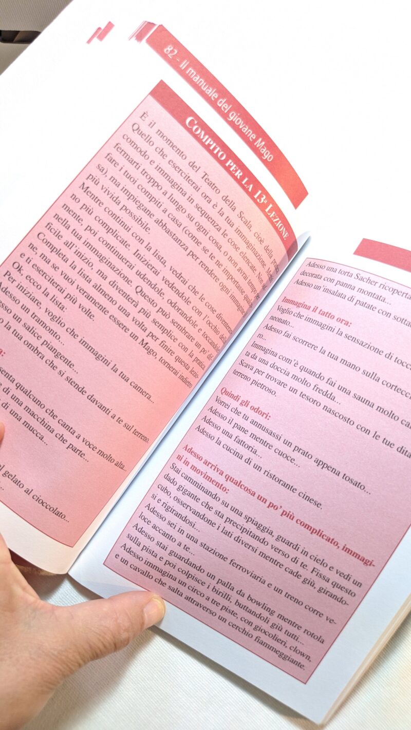 Il Manuale del giovane Mago