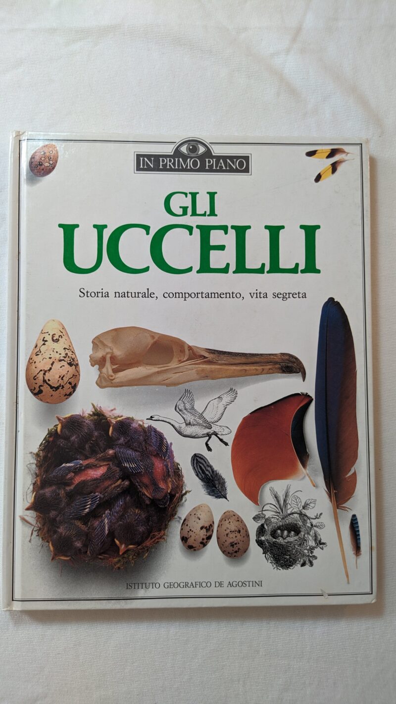 Gli uccelli