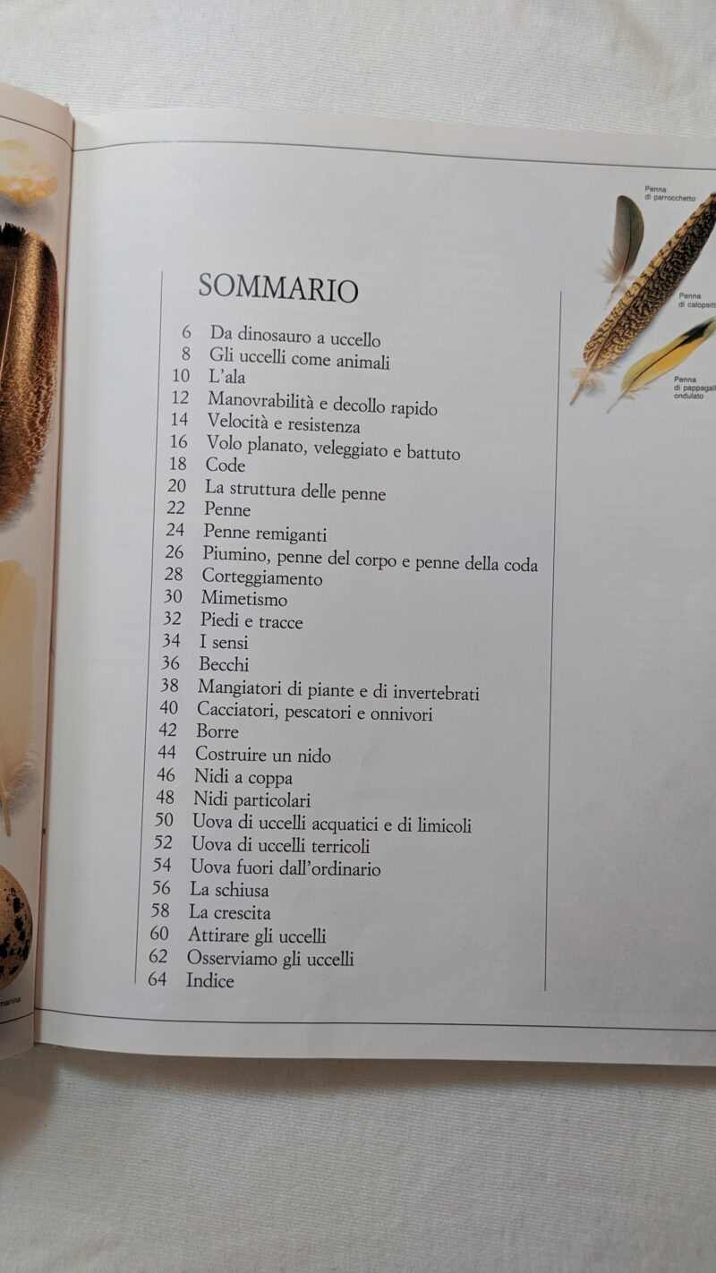 Gli uccelli