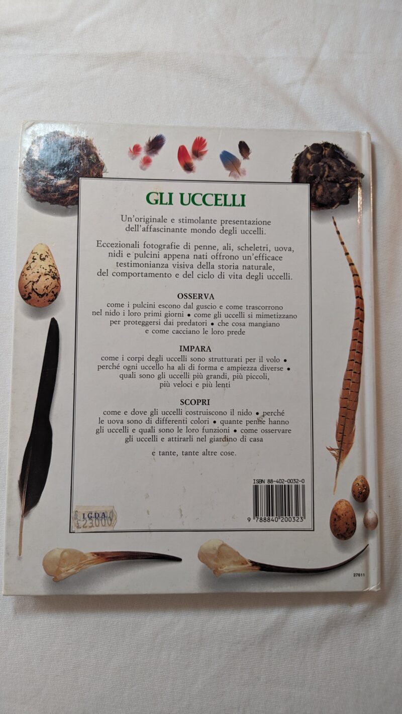 Gli uccelli