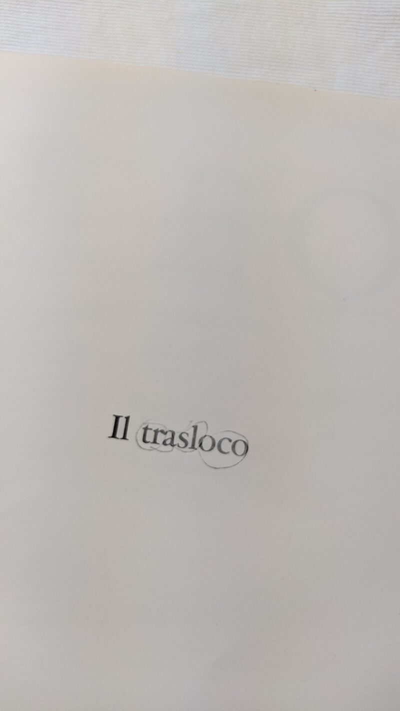 Teo il trasloco