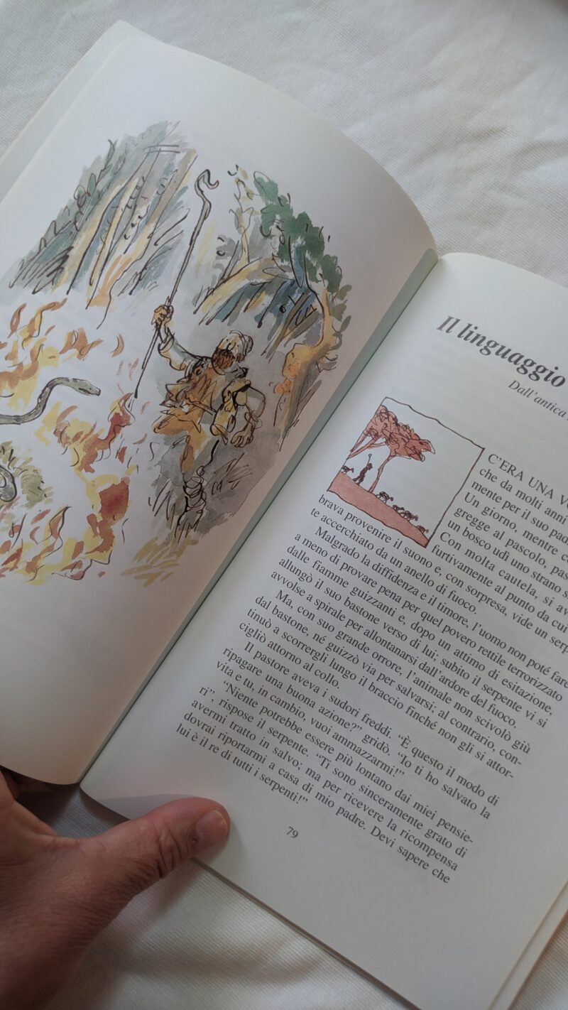 Il coniglio coraggioso e altri racconti