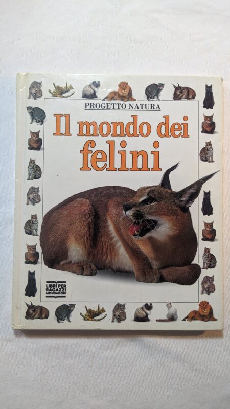 Il mondo dei felini