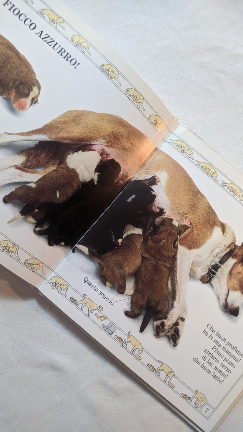 Come crescono i cagnolini