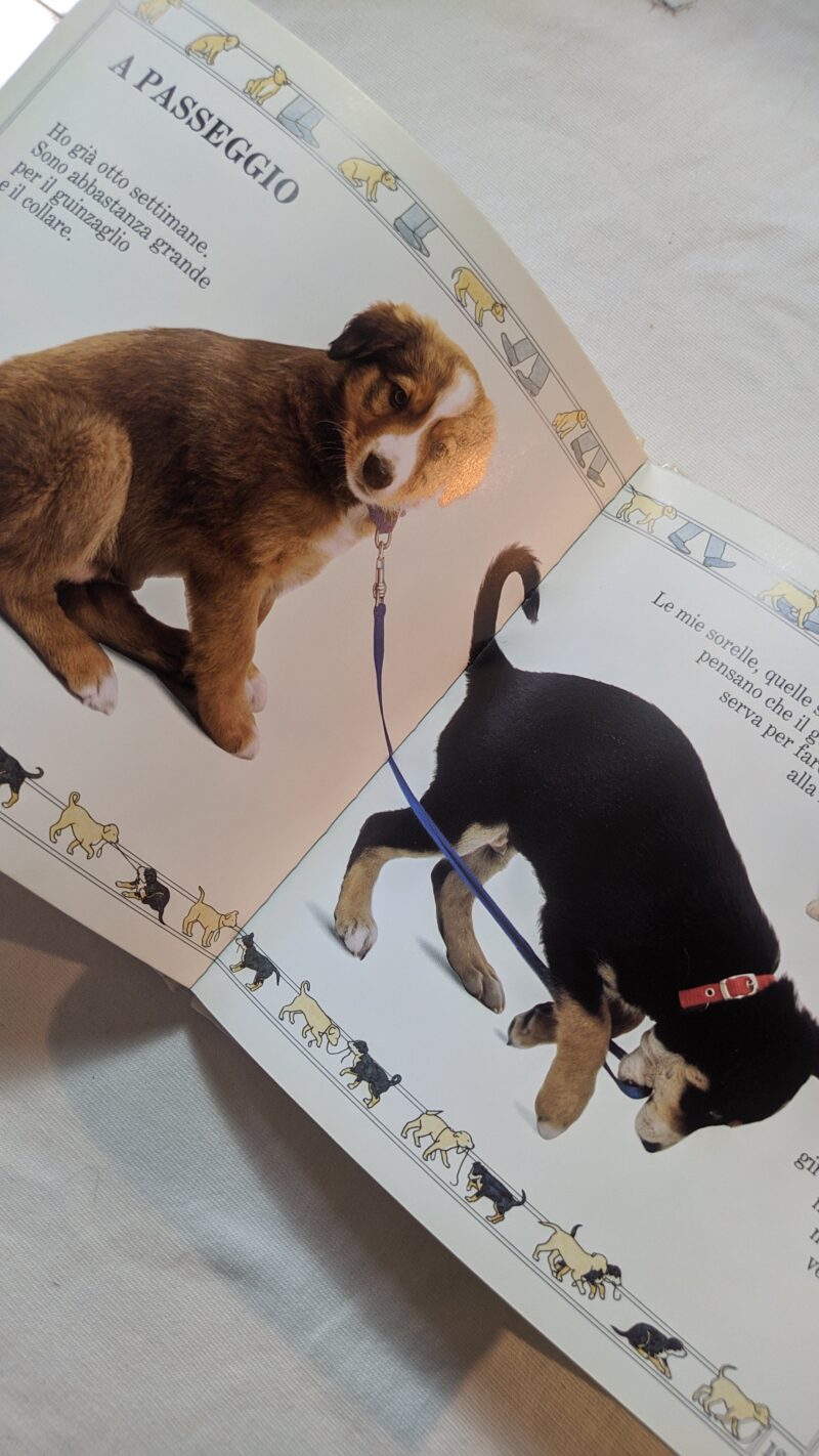 Come crescono i cagnolini