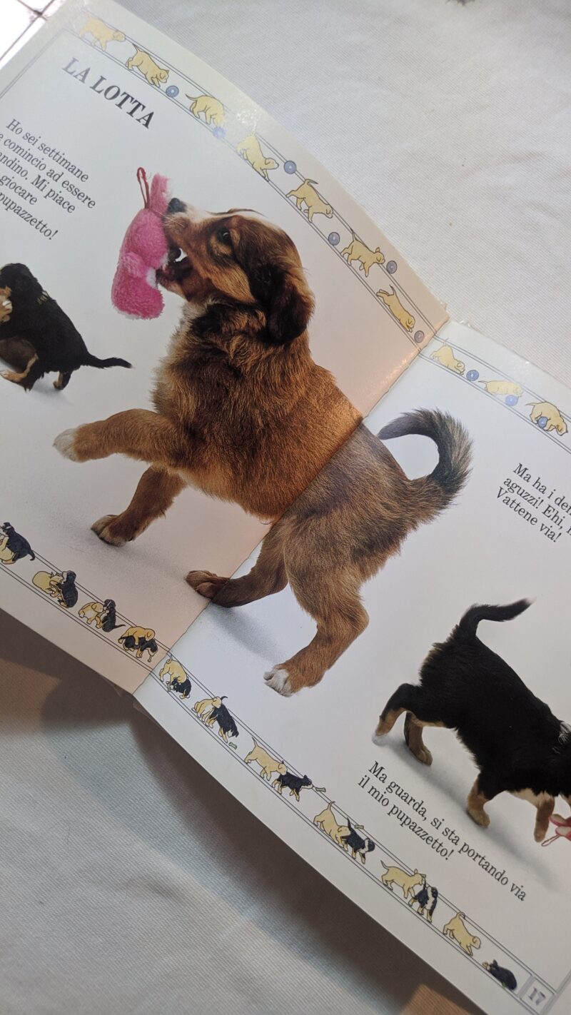 Come crescono i cagnolini