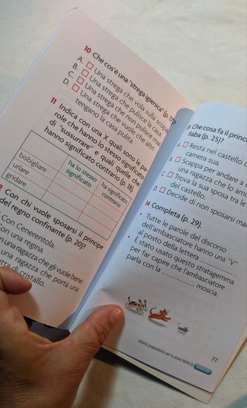 Il favoloso quaderno della piccola sorella grimm