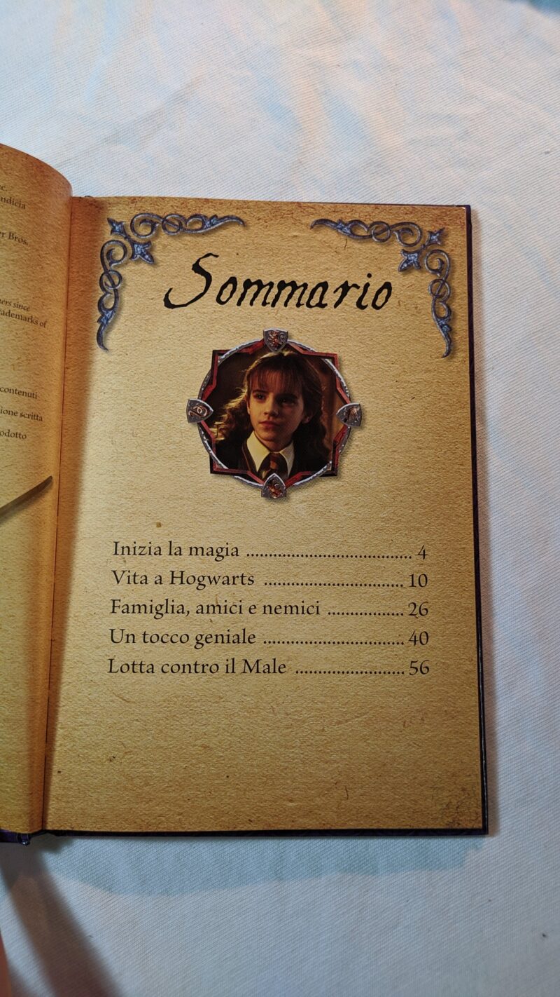 Hermione Granger
Guida al film