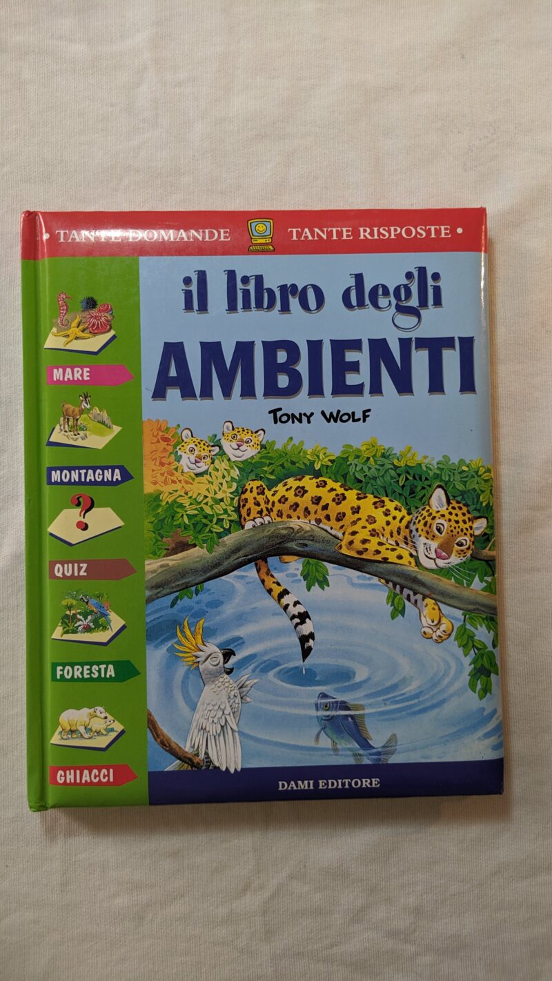 Il libro degli Ambienti