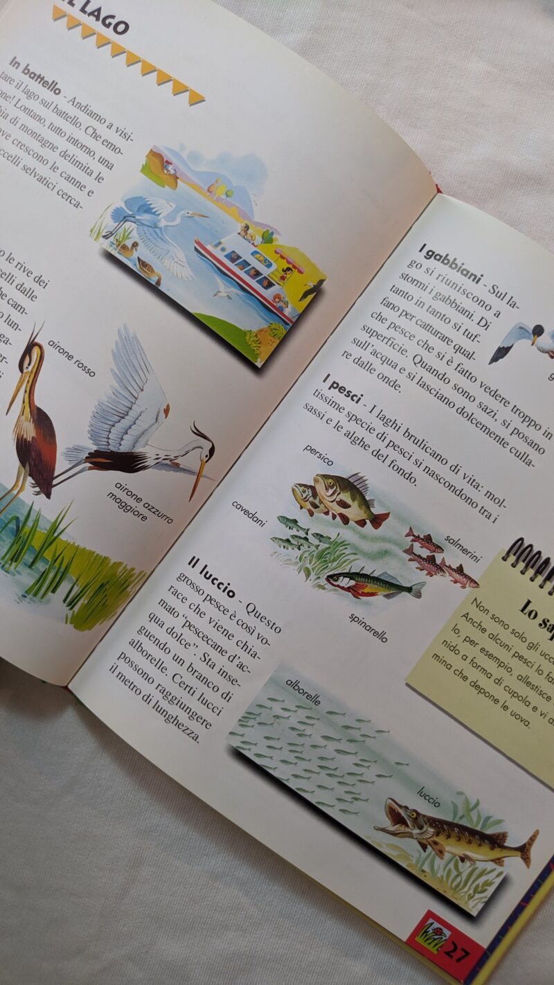 Il libro degli Ambienti