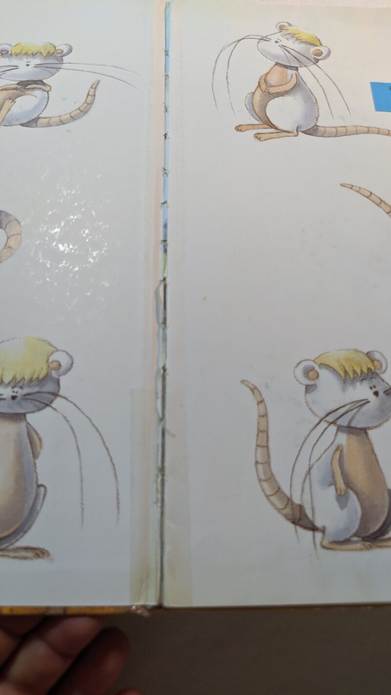 Il libro magico