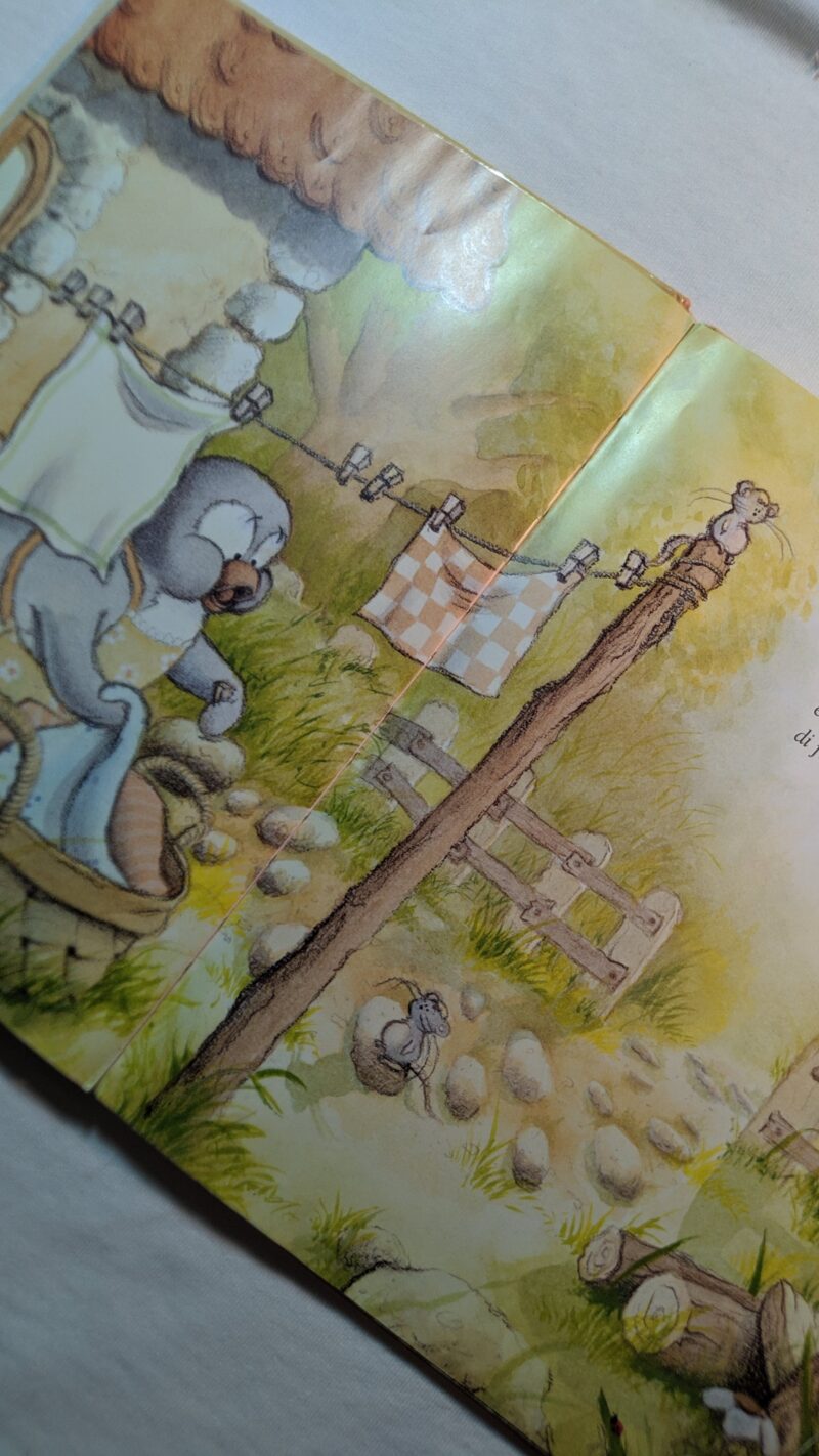 Il libro magico