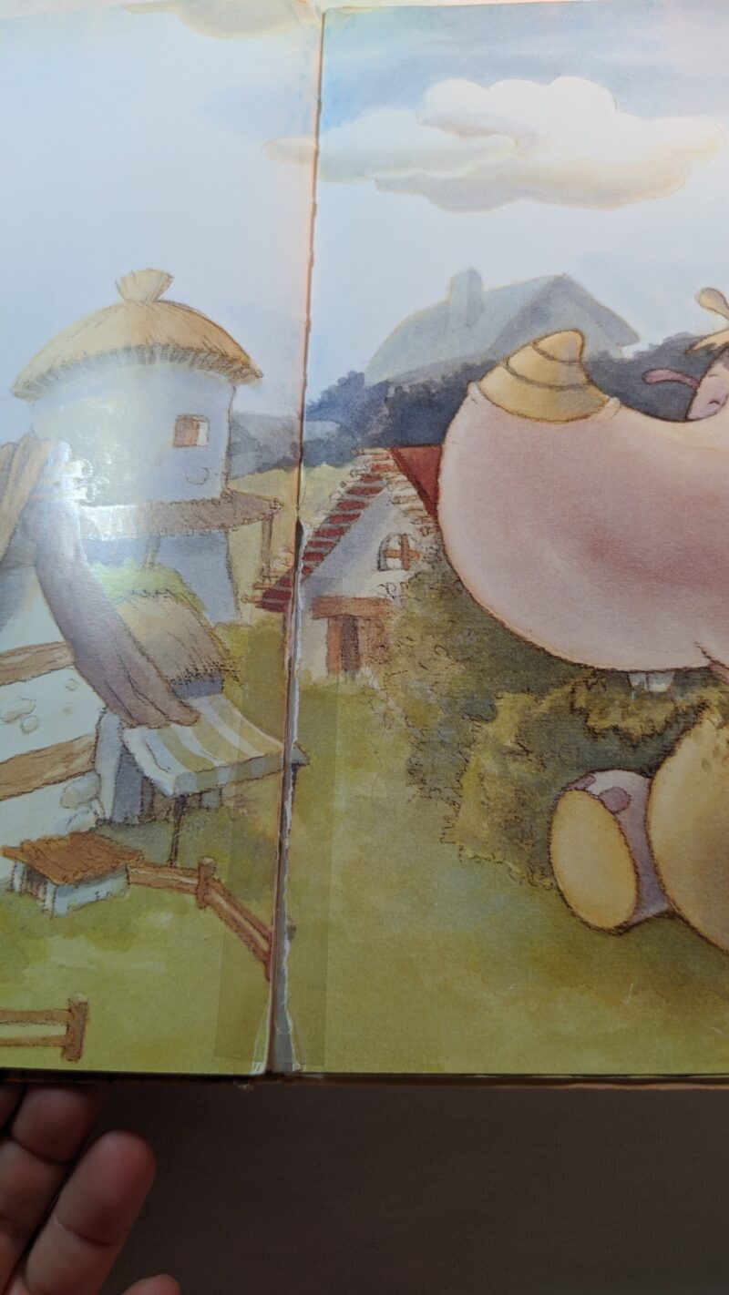 Il libro magico