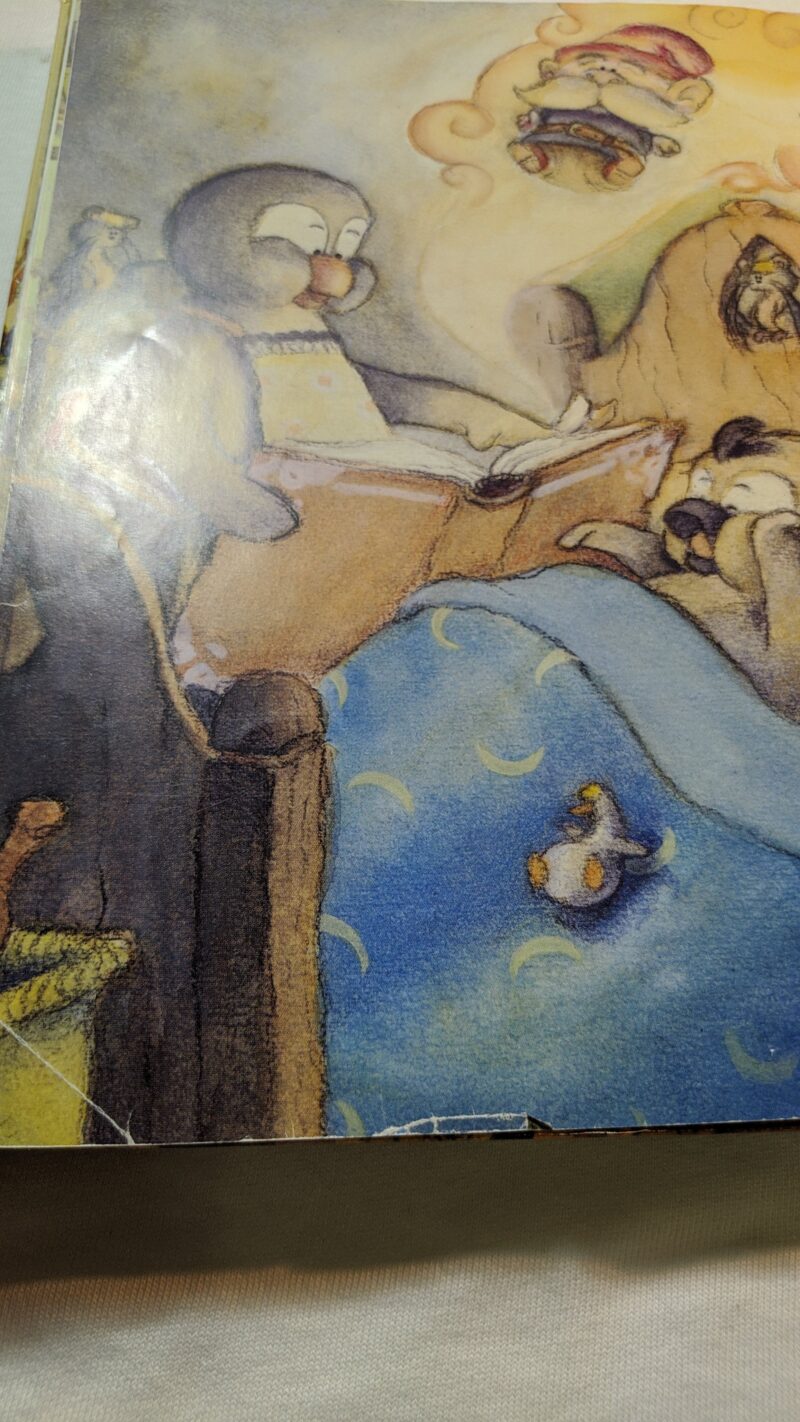 Il libro magico