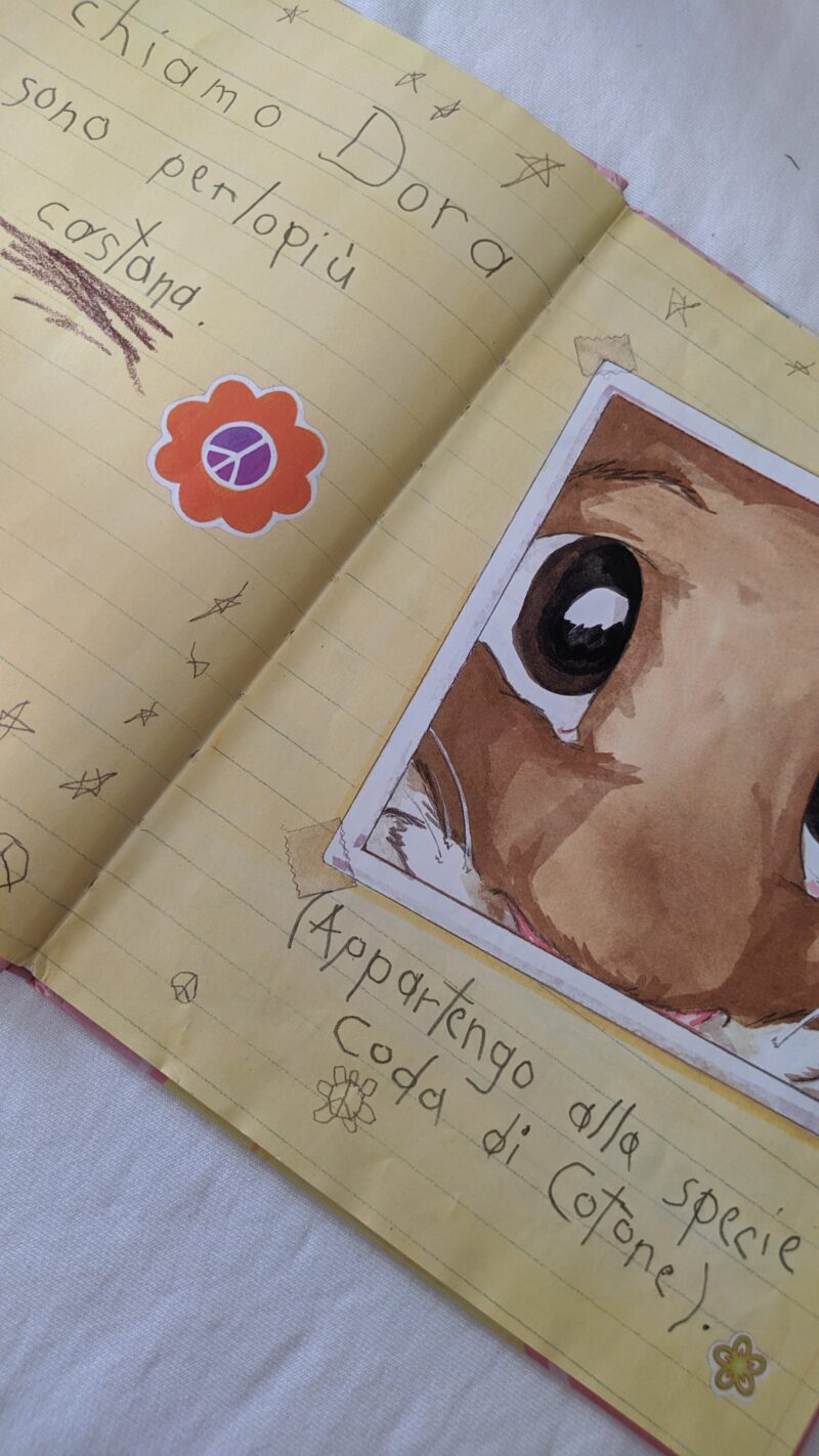 Il diario segreto di Dora coda di cotone
