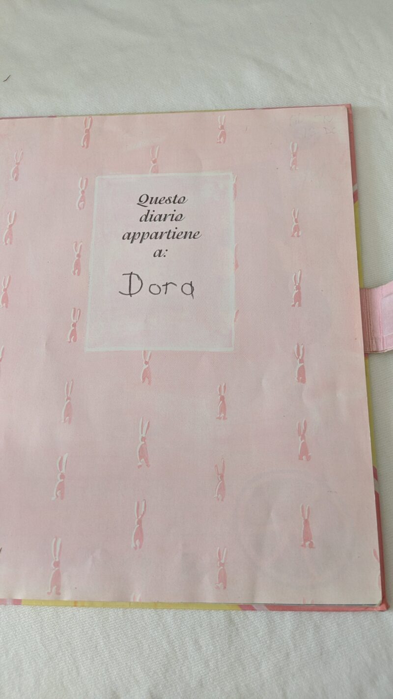 Il diario segreto di Dora coda di cotone