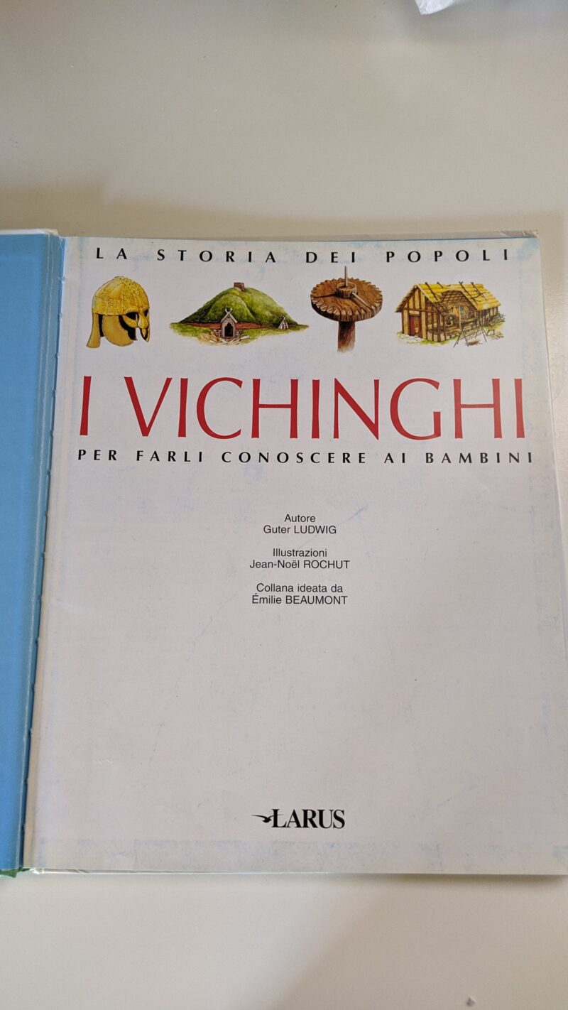 I Vichinghi